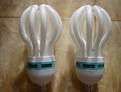 【廠家批發(fā)17管徑5U蓮花節(jié)能燈 特價(jià)蓮花系列節(jié)能燈】價(jià)格,廠家,圖片,節(jié)能燈,江門市荷塘霞光照明電器廠-